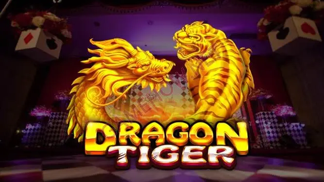 Pay attention to Dragon Tiger's odds